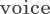 社員の声